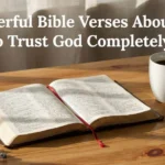 Open Bible with morning sunlight, symbolizing Bible Verses About Faith and trusting God